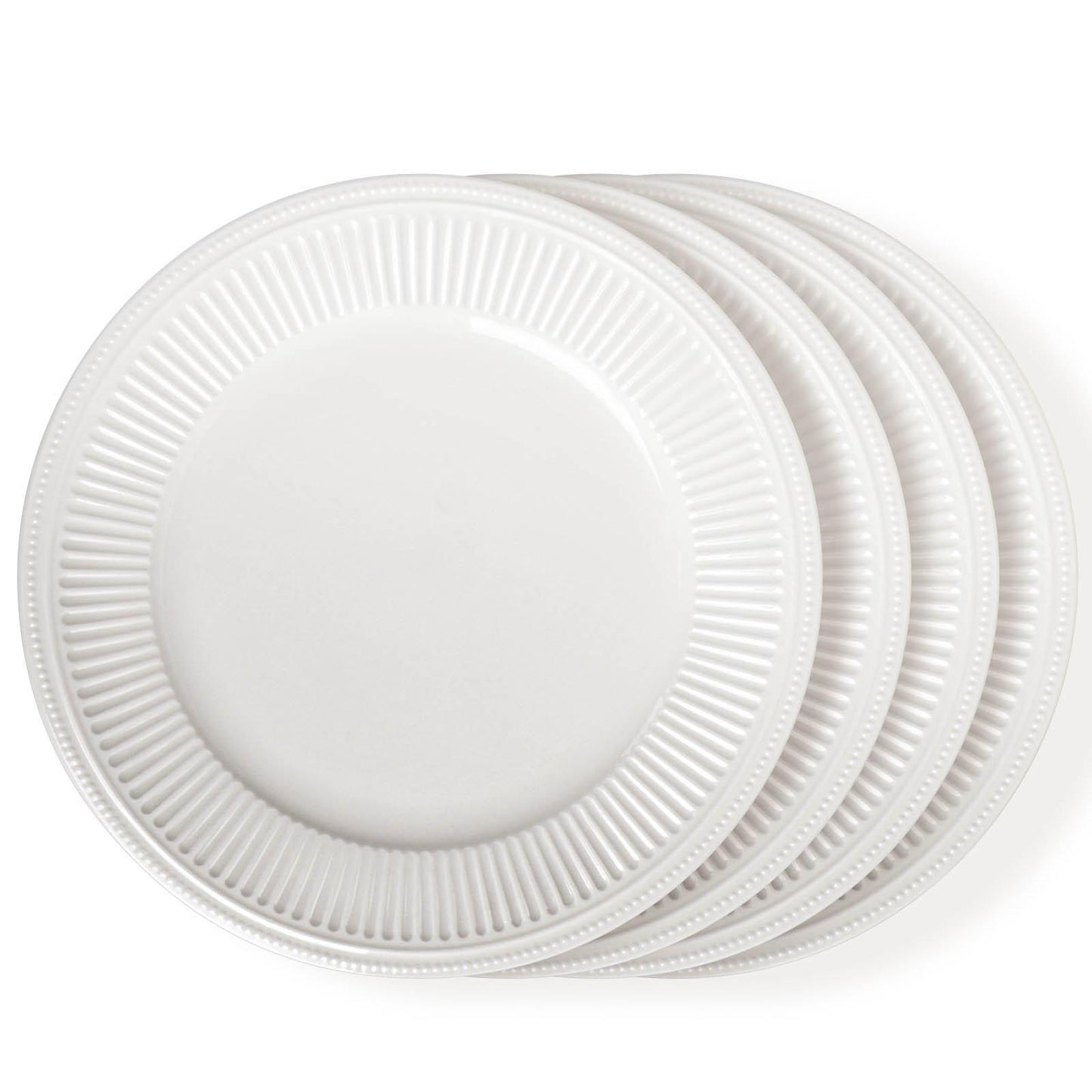 Ceramic Dinner Plates Set of 4