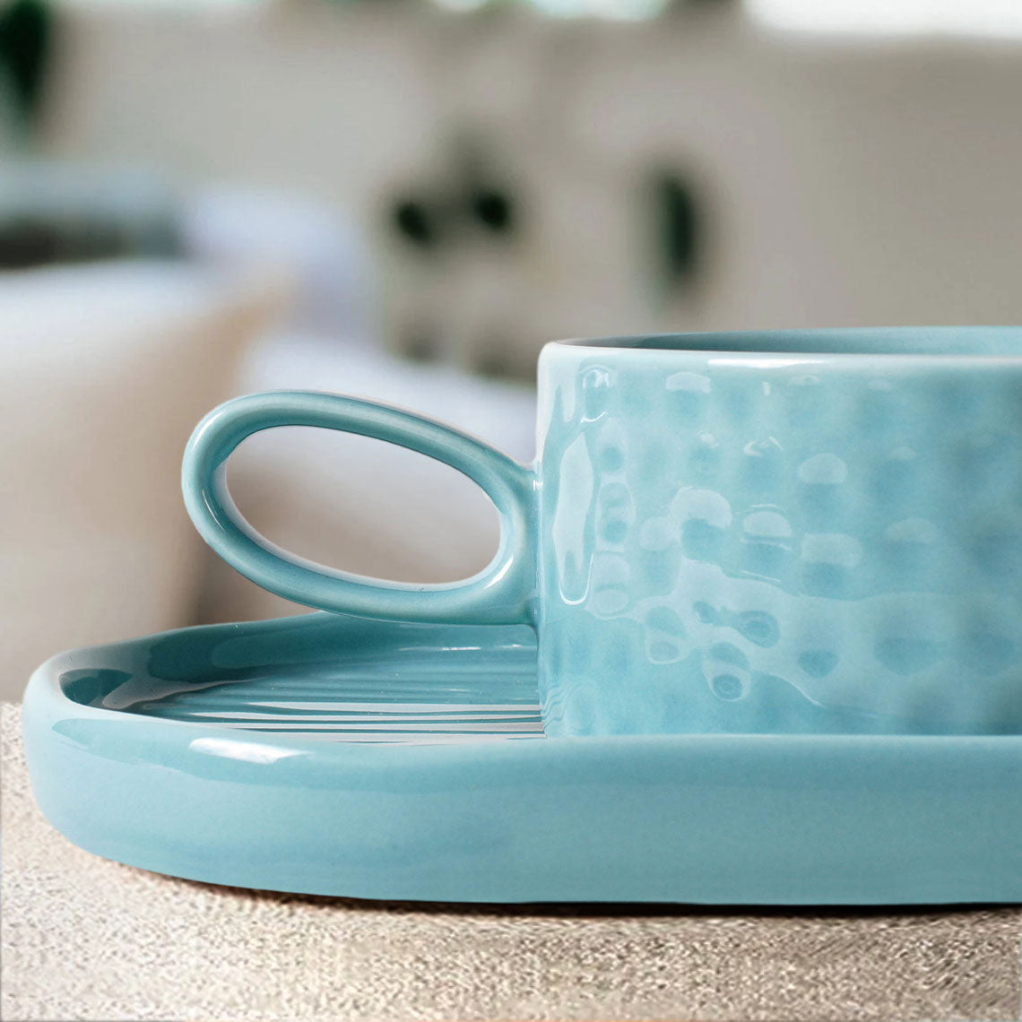 16 oz Soup Bowls/Mugs/Cups with Handles in 9.85-inch Ceramic Plates